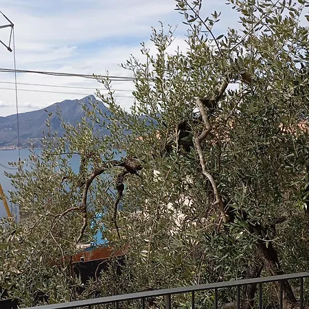 Punta Sul Garda * توري ديل بيناكو