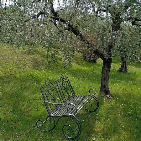 Punta Sul Garda توري ديل بيناكو