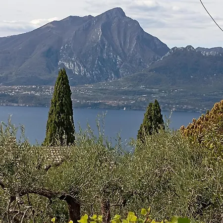 Punta Sul Garda * 토리델베나코